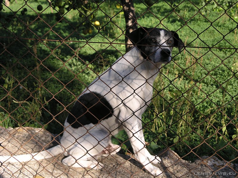 2006_11_23 15_04_24 OLYMPUS DIGITAL CAMERA         